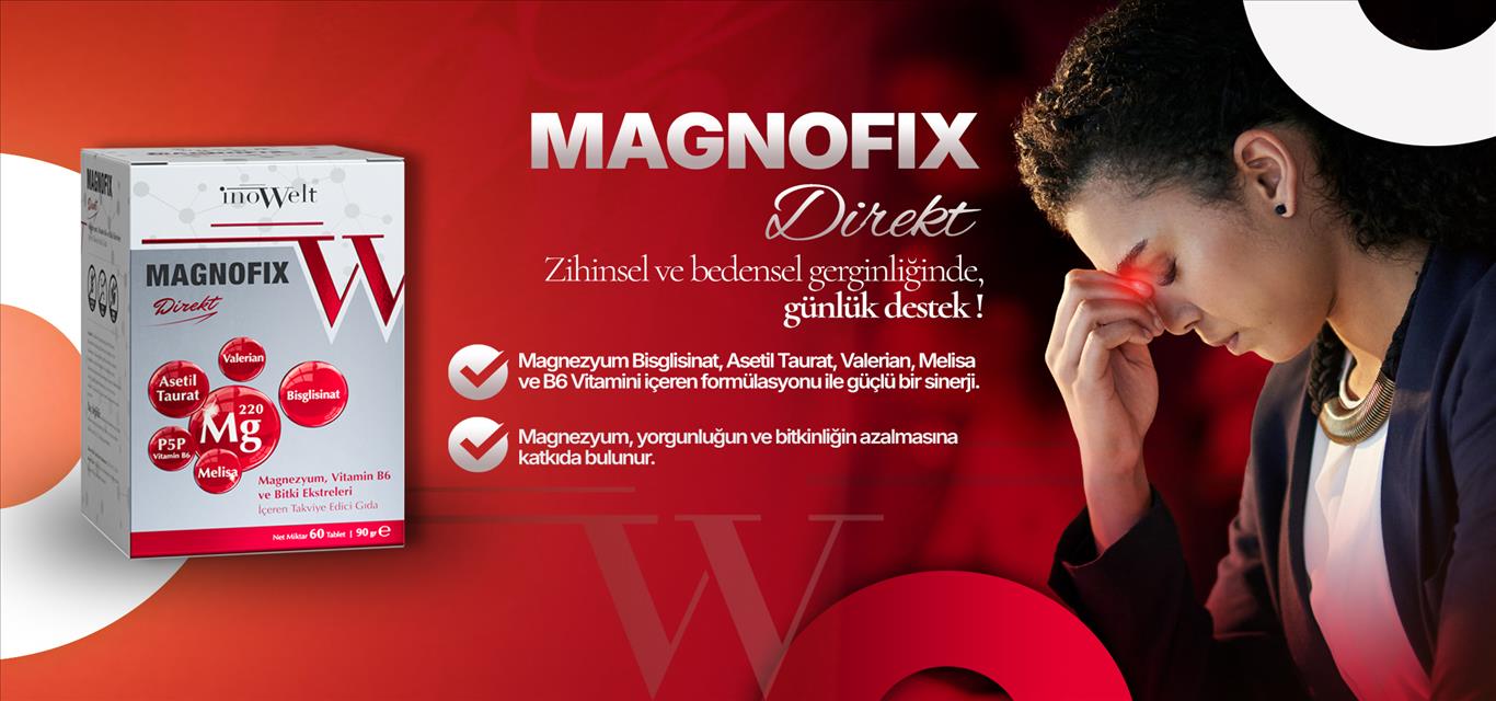 İnowelt - magnofix-FflG.jpg